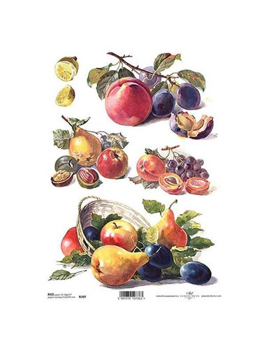 Ριζόχαρτο "fruits" 21x29εκ.   (ITD-R397)