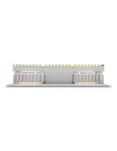 DELOCK patch panel 66877 για καμπίνα δικτύου 19"/1U, 16x ports, γκρι