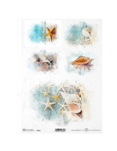 Ριζόχαρτο "ocean shells" 21x29.7εκ.   (ITD-R1611)