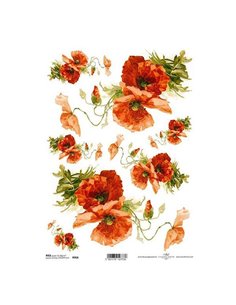 Ριζόχαρτο "red anemone" 21x29εκ.   (ITD-R958)