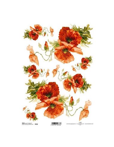 Ριζόχαρτο "red anemone" 21x29εκ.   (ITD-R958)