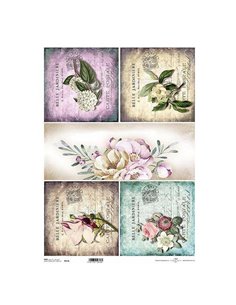 Ριζόχαρτο "belle jardiniere" 42x29.7εκ.   (ITD-R019L)