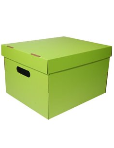 Νext κουτί colors λαχανί Α4 Υ19x30x25,5εκ.