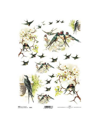 Ριζόχαρτο "swallow" 21x29εκ.   (ITD-R673)