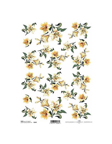 Ριζόχαρτο "capensia" 21x29εκ.   (ITD-R149)