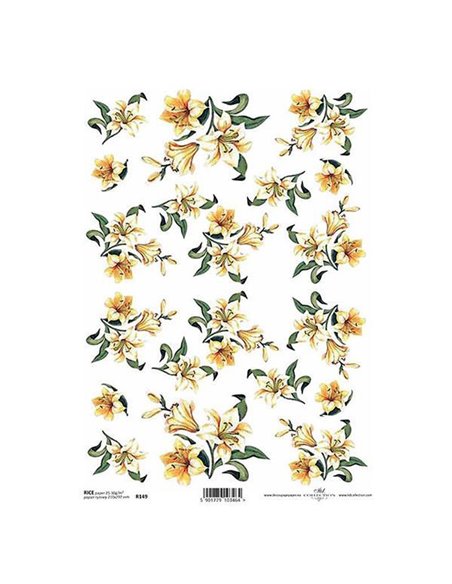 Ριζόχαρτο "capensia" 21x29εκ.   (ITD-R149)