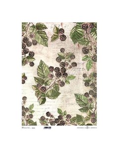 Ριζόχαρτο "berries" 42x29.7εκ.   (ITD-R125L)