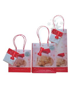 Next πολυπροπ. τσάντα για μπουκάλια Y35x12,3x8,5 "Christmas wishes"