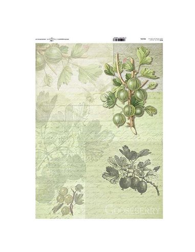 Ριζόχαρτο "gooseberry" 42x29.7εκ.   (ITD-R124L)