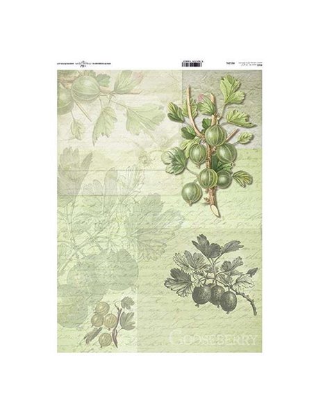 Ριζόχαρτο "gooseberry" 42x29.7εκ.   (ITD-R124L)
