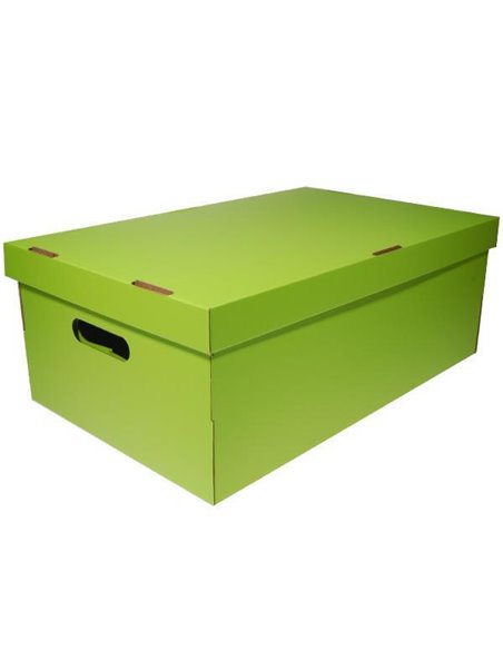 Νext κουτί colors λαχανί Α3 Υ19x50x31εκ.