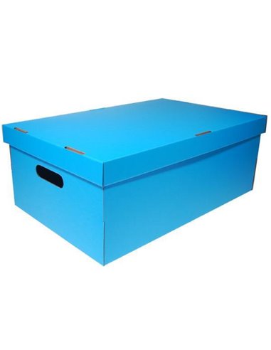 Νext κουτί colors γαλάζιο Α3 Υ19x50x31εκ.