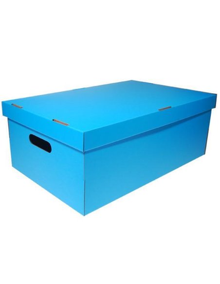 Νext κουτί colors γαλάζιο Α3 Υ19x50x31εκ.