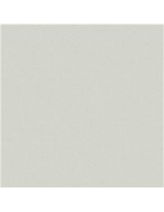 Χαρτόνι φωτοαντ. γκρι Α4 160γρ. 250φ.