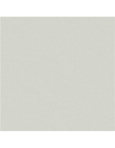 Χαρτόνι φωτοαντ. γκρι Α4 160γρ. 250φ.