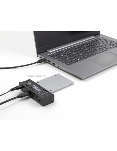 DELOCK docking station 64253 για M.2 NVMe/SATA SSD & HDD, 10Gbps, μαύρο