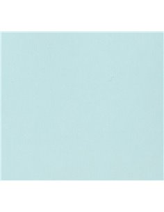 Χαρτί φωτοαντιγραφικό γαλάζιο Α4 500 φύλλα 80γρ,