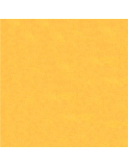 Χαρτόνι φωτοαντ. αν. πορτοκαλί Α4 160γρ. 250φ.