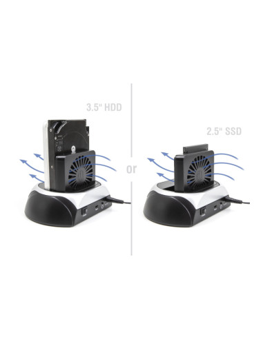 DELOCK docking station 64280 για M.2 NVMe/SATA SSD & HDD, 10Gbps, μαύρο