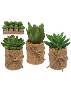 Γλαστράκια με τεχνητά παχύφυτα σε 3 σχέδια Υ10x5εκ.