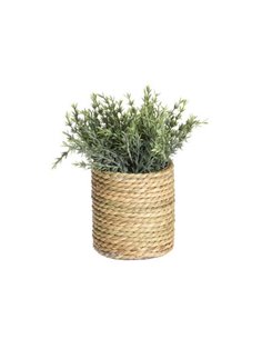 Τεχνητό φυτό ΙΙΙ  Ø17xY22εκ.σε γλάστρα Ø11xΥ11,5εκ.