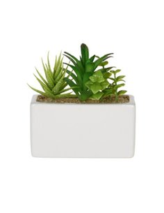 Τεχνητό παχύφυτο II σε ορθογώνια κεραμική γλάστρα Υ14x15x8εκ.
