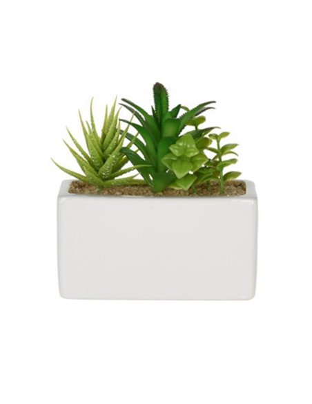 Τεχνητό παχύφυτο II σε ορθογώνια κεραμική γλάστρα Υ14x15x8εκ.