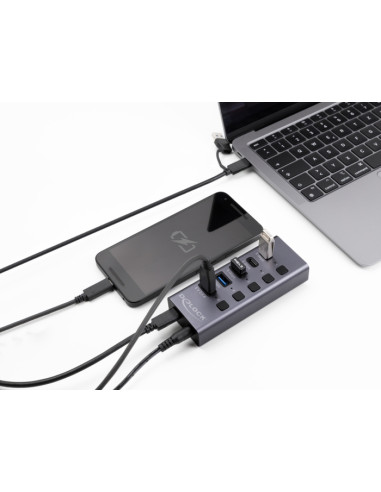 DELOCK USB hub 64248 με διακόπτες, 5x θυρών, 5Gbps, USB/USB-C σύνδεση, γκρι