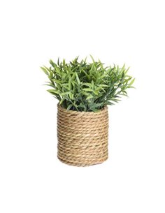Τεχνητό φυτό ΙΙΙΙ  Ø17xY22εκ.σε γλάστρα Ø11xΥ11,5εκ.