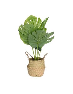 Τεχνητό φυτό μονστέρα ύψους 46εκ. σε ψάθινο καλάθι