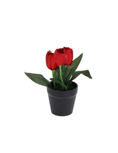 Τουλίπα κόκκινη τεχνητή Υ22x7x7εκ.  σε μαύρη γλάστρα