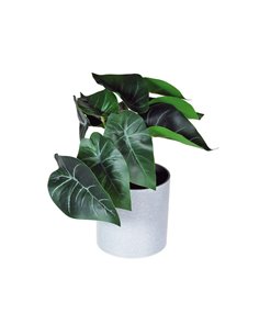 Φυτό τεχνητό Ντιφενμπάχια 18εκ., σε γκρι πλαστικό γλαστράκι Ø8xΥ8εκ.