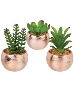 Γλαστράκια με τεχνητά παχύφυτα σε 3 σχέδια 10 xΥ18εκ.