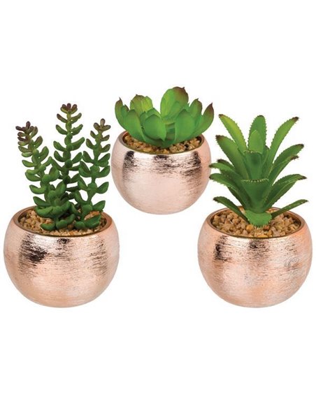 Γλαστράκια με τεχνητά παχύφυτα σε 3 σχέδια 10 xΥ18εκ.