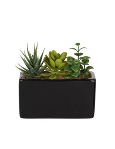 Τεχνητό παχύφυτο I σε ορθογώνια κεραμική γλάστρα Υ14x15x8εκ.