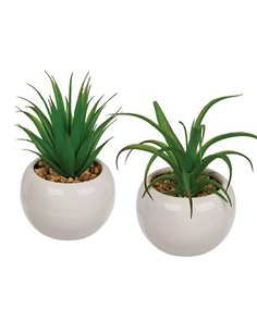 Γλαστράκια με τεχνητά παχύφυτα σε 2 σχέδια Y16x9.5εκ.