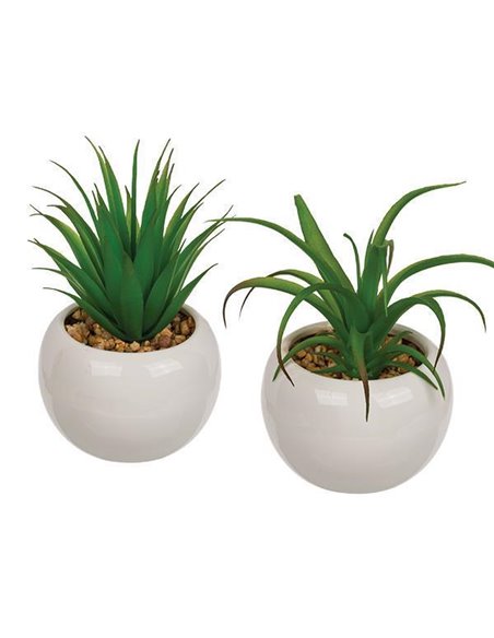 Γλαστράκια με τεχνητά παχύφυτα σε 2 σχέδια Y16x9.5εκ.