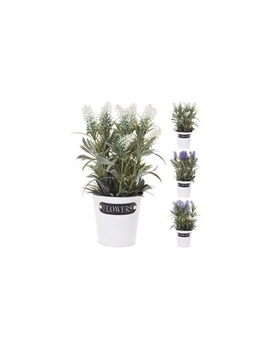 Λεβάντα σε μεταλλικό γλαστράκι 29εκ. κοκτέηλ  4 χρωμάτων