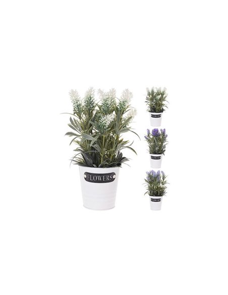 Λεβάντα σε μεταλλικό γλαστράκι 29εκ. κοκτέηλ  4 χρωμάτων