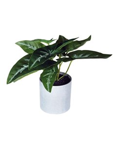 Φυτό τεχνητό φυλλόδεντρο 18εκ., σε γκρι πλαστικό γλαστράκι Ø8xΥ8εκ.