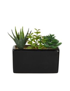 Τεχνητό παχύφυτο II σε ορθογώνια κεραμική γλάστρα Υ14x15x8εκ.