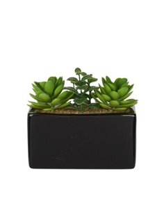 Τεχνητό παχύφυτο III σε ορθογώνια κεραμική γλάστρα Υ14x15x8εκ.