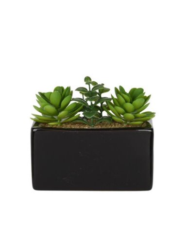 Τεχνητό παχύφυτο III σε ορθογώνια κεραμική γλάστρα Υ14x15x8εκ.