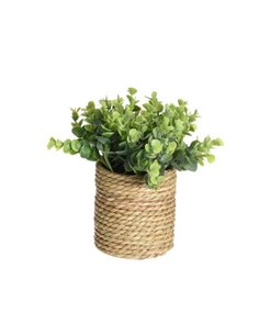 Τεχνητό φυτό ΙΙ  Ø17xY22εκ.σε γλάστρα Ø11xΥ11,5εκ.