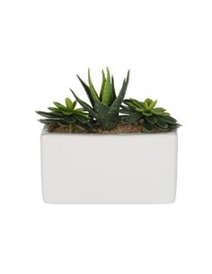 Τεχνητό παχύφυτο I σε ορθογώνια κεραμική γλάστρα Υ14x15x8εκ.