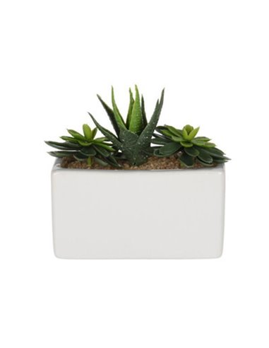 Τεχνητό παχύφυτο I σε ορθογώνια κεραμική γλάστρα Υ14x15x8εκ.