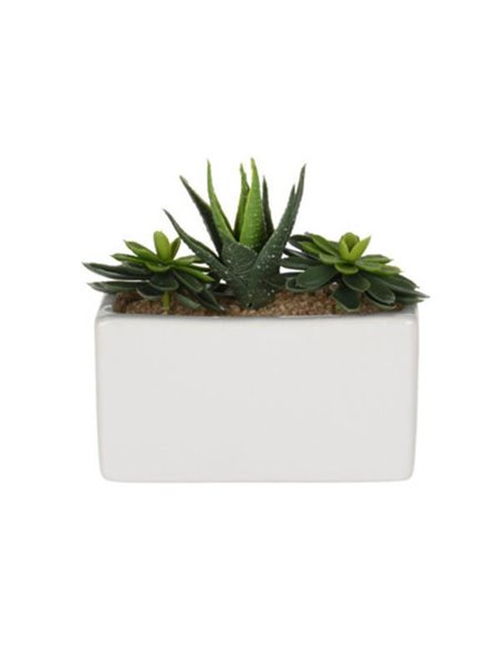 Τεχνητό παχύφυτο I σε ορθογώνια κεραμική γλάστρα Υ14x15x8εκ.
