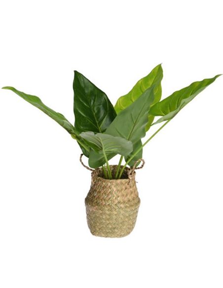 Τεχνητό φυτό μπανανιά ύψους 46εκ. σε ψάθινο καλάθι