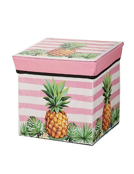 Κουτί αποθήκευσης ανανάς Υ30x30x30εκ. T