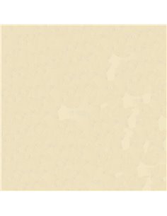 Χαρτόνι φωτοαντ. κρεμ Α4 160γρ. 250φ.